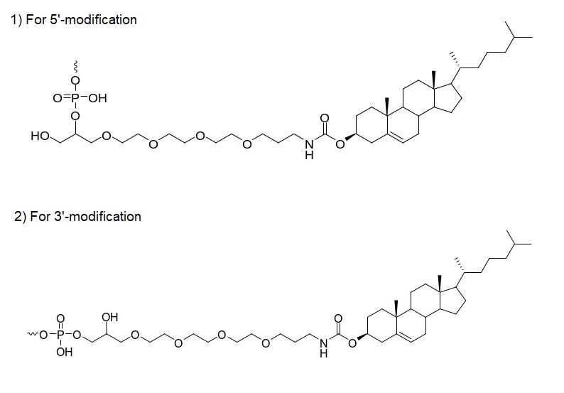Bio-Synthesis Inc. Oligo Structure
